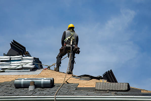 Professional Roof Replacement technician working in Preston, IA